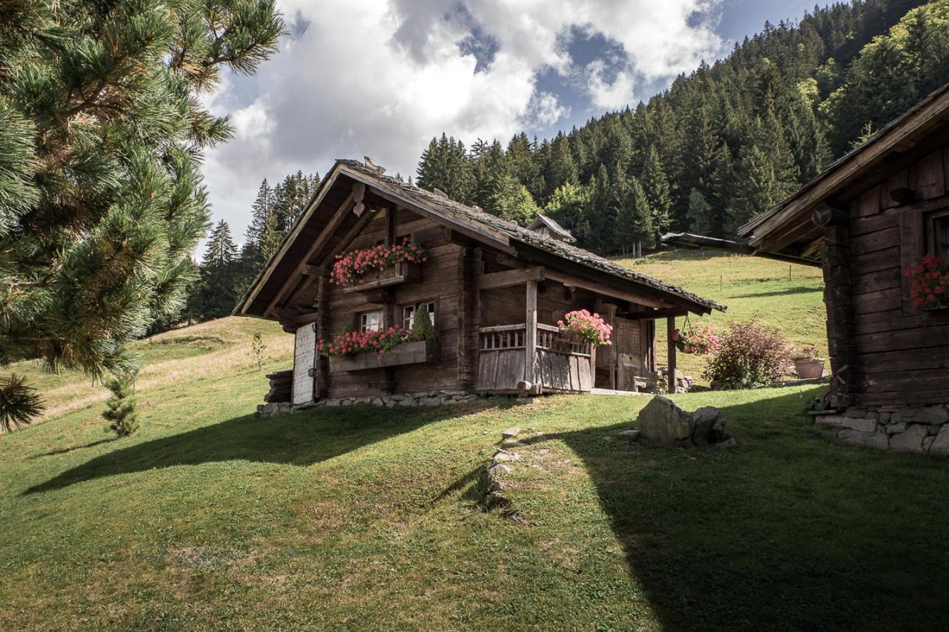 Готель La Ferme Des Vonezins Тон Екстер'єр фото