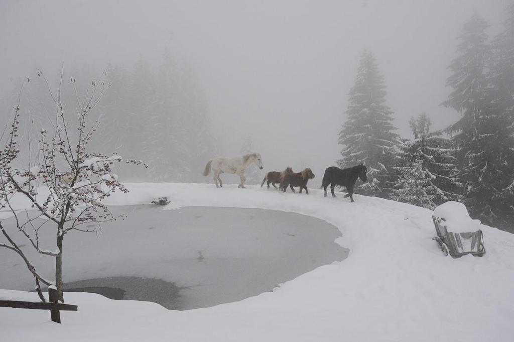 Готель La Ferme Des Vonezins Тон Екстер'єр фото